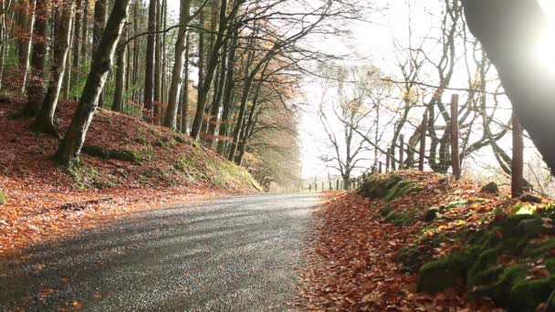 Camino rural de otoño — Vídeos de Stock