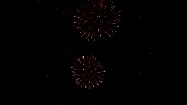 밤하늘의 밝은 폭죽 — 비디오