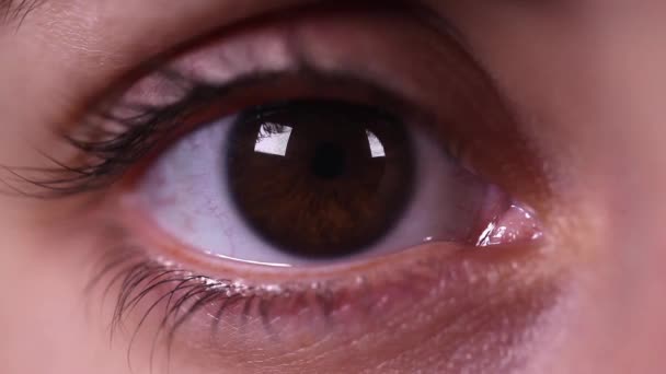 Карі очі жінка — стокове відео