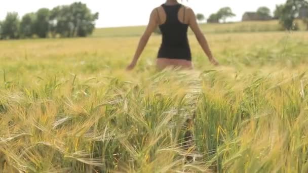 Κοπέλα περπάτημα στο πεδίο ώριμο σιτάρι — Αρχείο Βίντεο