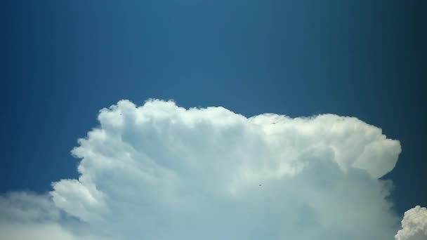 Ciel bleu nuages timelapse — Video