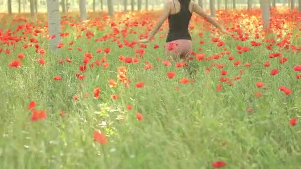 女人走在罂粟花字段 — 图库视频影像