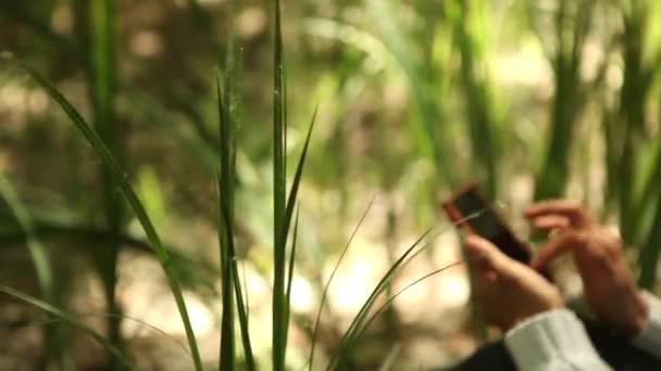 Chica usando smartphone en el bosque — Vídeo de stock