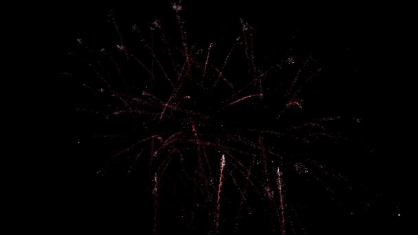 Bright fireworks in night sky — Stock Video