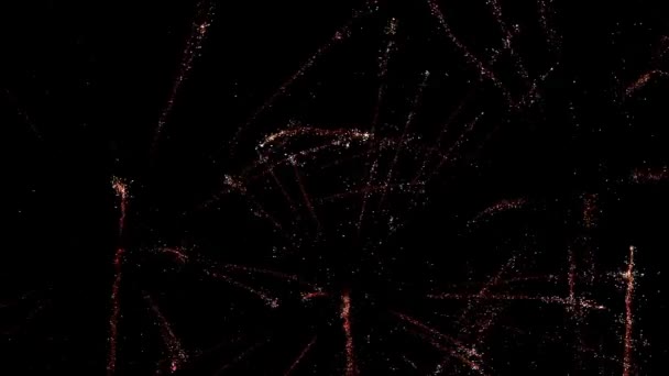Fuegos artificiales brillantes en el cielo nocturno — Vídeo de stock