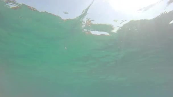 Vagues de mer vue sous-marine — Video