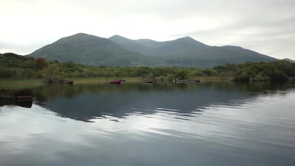 Calm lake nature panorama — Stockvideo