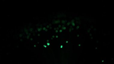 Yanıp sönen ışıklar hareketli