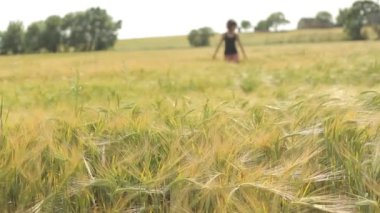 Kız olgun buğday alanında yürüyüş 