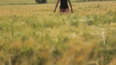 Kız olgun buğday alanında yürüyüş 
