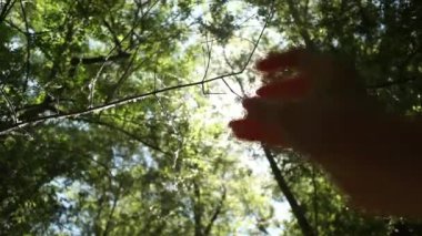 Güneş ışınları parmaklarımın arasından