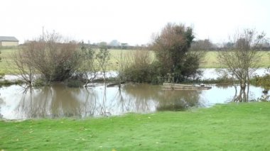 Fırtına sonra su dolu Bahçe