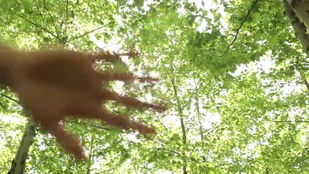 Solens strålar genom fingrarna — Stockvideo