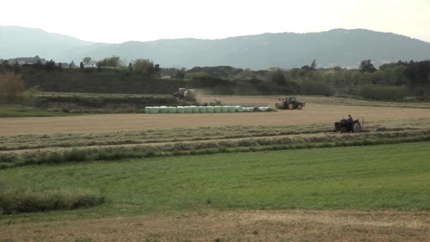 Tractores trabajando en un campo — Vídeos de Stock