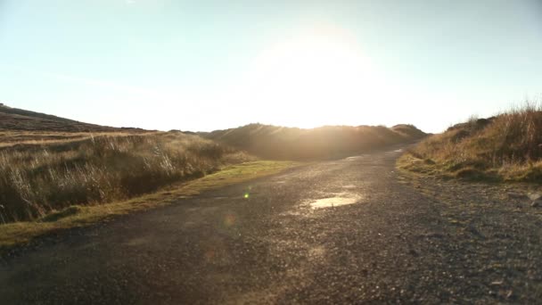 सूर्य प्रकाश आणि ग्रामीण लँडस्केप — स्टॉक व्हिडिओ