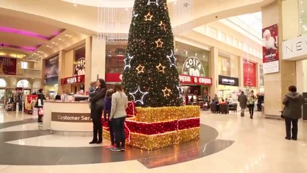 Människor shopping innan jul — Stockvideo