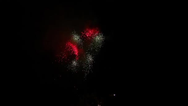 Fuegos artificiales brillantes en el cielo nocturno — Vídeos de Stock