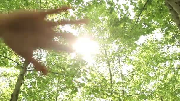 Güneş ışınları parmaklarımın arasından — Stok video
