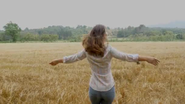 Beautiful girl in wheat field — Stock Video