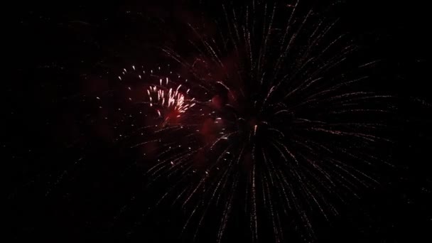 Feux d'artifice lumineux dans le ciel nocturne 