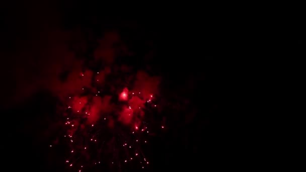 Bright fireworks in night sky — Stock Video