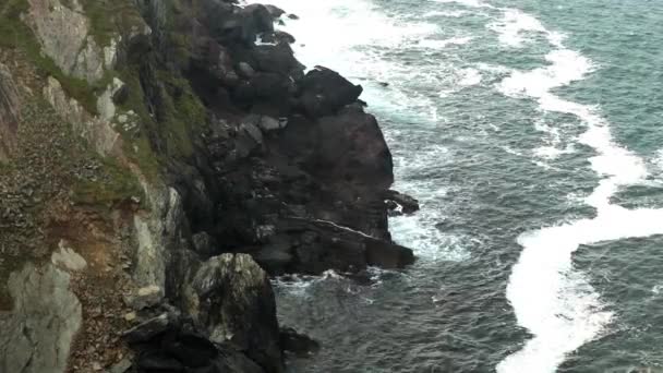 아일랜드에서 인상적인 절벽 — 비디오