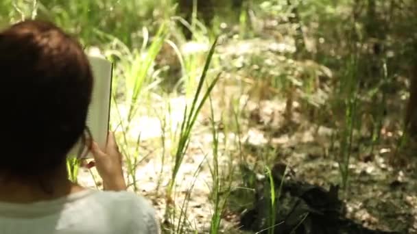 Mädchen liest im Wald — Stockvideo