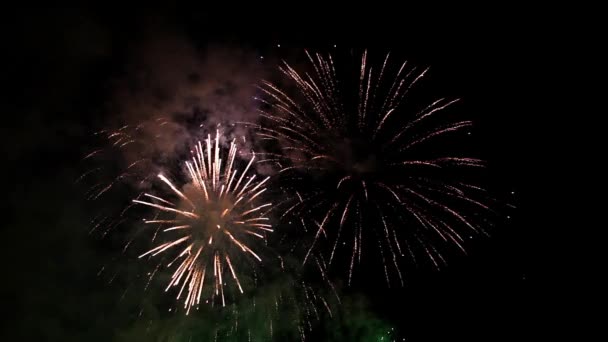 Fuegos artificiales brillantes en el cielo nocturno — Vídeos de Stock