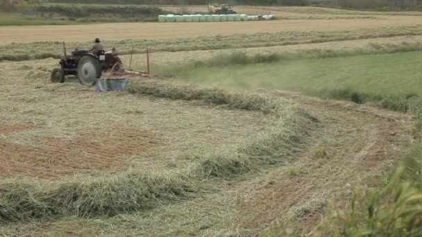 Tractors Working in a Field — ストック動画