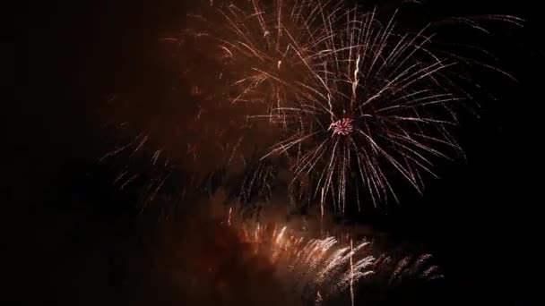 Fogos de artifício brilhantes no céu noturno — Vídeo de Stock