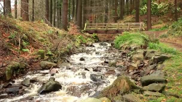 Mountain river and wood bridge — Stock Video