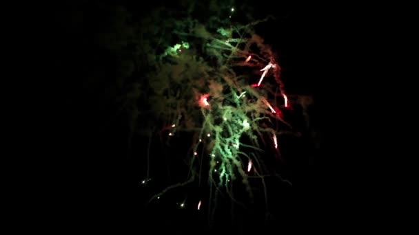 Bright fireworks in night sky — Stock Video