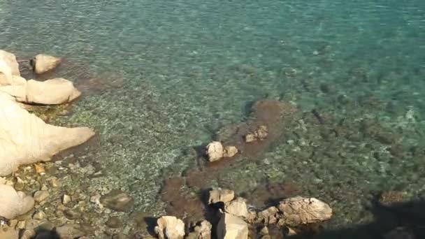 Playa de mar rocoso y olas — Vídeo de stock