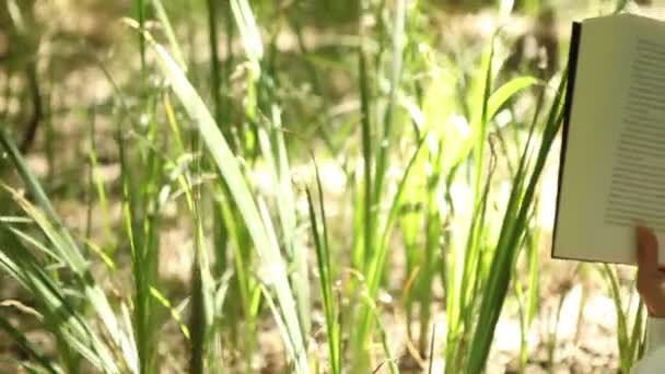 Chica leyendo en el bosque — Vídeo de stock