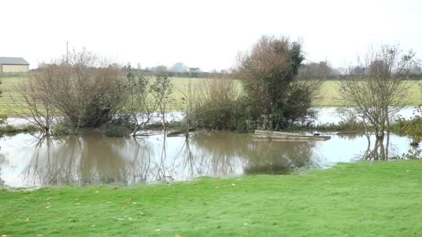 Flooded garden after storm — Stockvideo