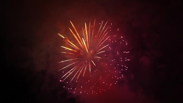 Helder vuurwerk in de nachtelijke hemel — Stockvideo