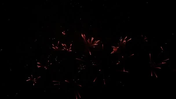 Fogos de artifício brilhantes no céu noturno — Vídeo de Stock