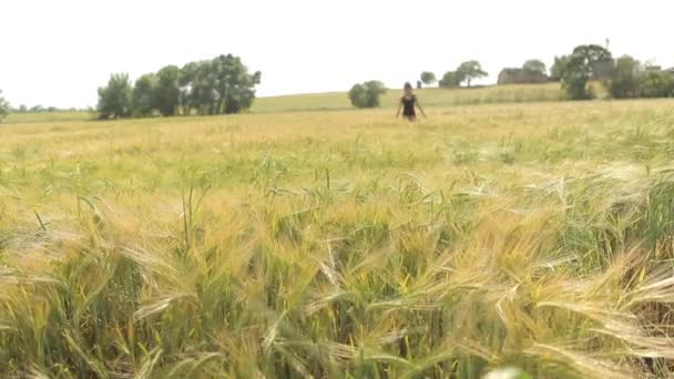 Dívka v zralé pšeničné pole — Stock video