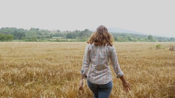 Belle fille dans le champ de blé — Video