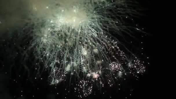 ดอกไม้ไฟที่สดใสในท้องฟ้ากลางคืน — วีดีโอสต็อก