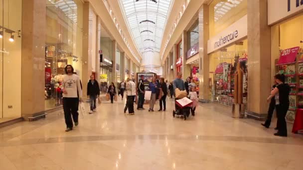 Time lapse of people shopping before Christmas — Stock Video