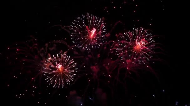 Fuegos artificiales brillantes en el cielo nocturno — Vídeos de Stock