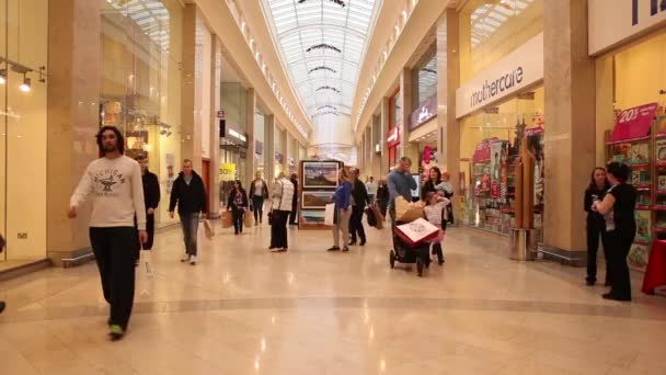 Time lapse of people shopping before Christmas — Stock Video