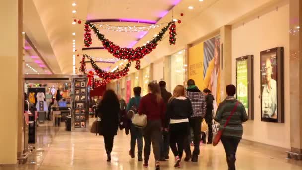 El lapso de tiempo de las personas que compran antes de Navidad — Vídeos de Stock