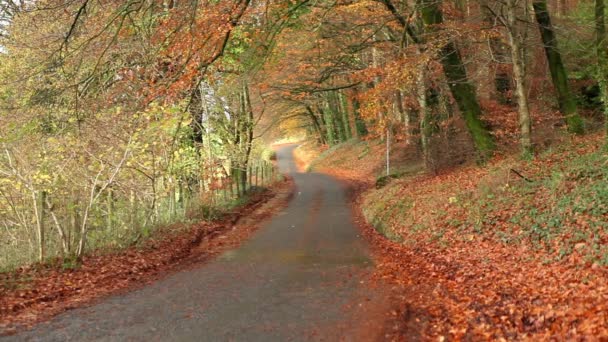 Camino rural de otoño — Vídeos de Stock