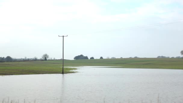 Затоплена сільському господарстві, сфері — стокове відео