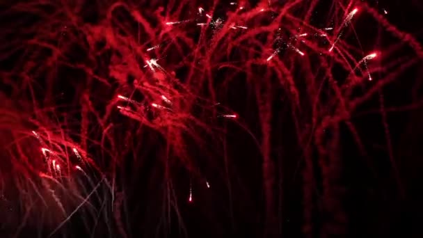 Helles Feuerwerk am Nachthimmel — Stockvideo