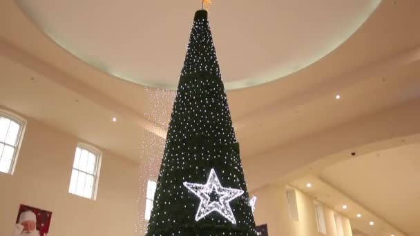 Beautiful Christmas tree in shopping mall — Stock Video