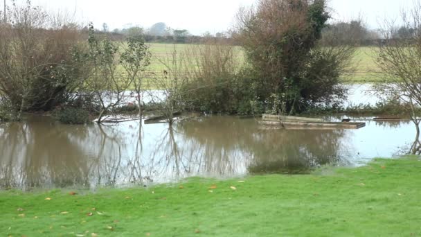 Flooded garden after storm — Stockvideo