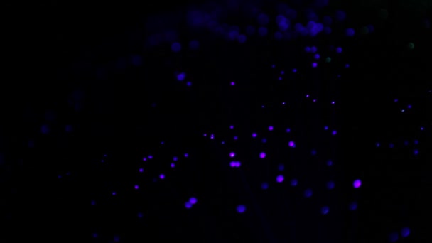 Voyants clignotants mobiles 